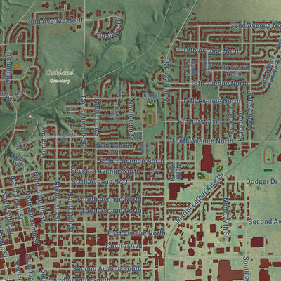 Close-up of the map of Fort Dodge, Iowa print showing street and building detail