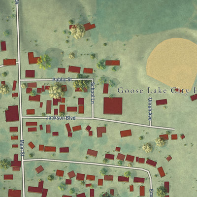 Close-up of the map of Goose Lake, Iowa print showing street and building detail