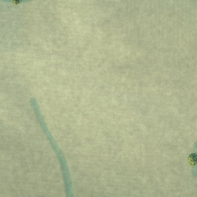 Second close-up of the map of Hansell, Iowa print showing more streets and buildings