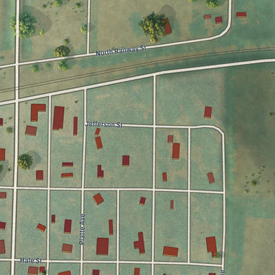 Close-up of the map of Hastings, Iowa print showing street and building detail