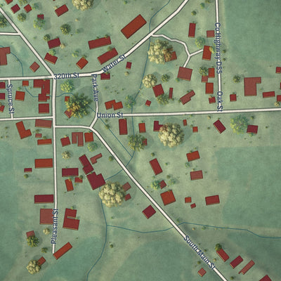 Close-up of the map of La Motte, Iowa print showing street and building detail