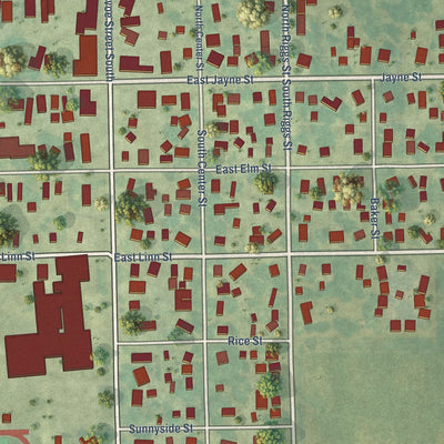 Close-up of the map of Lone Tree, Iowa print showing street and building detail
