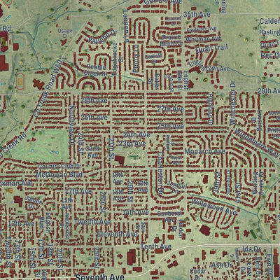 Close-up of the map of Marion, Iowa print showing street and building detail