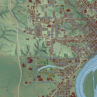 Close-up of the map of Muscatine, Iowa print showing street and building detail