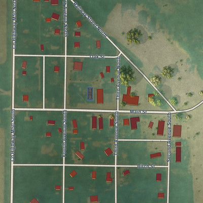 Close-up of the map of Nemaha, Iowa print showing street and building detail