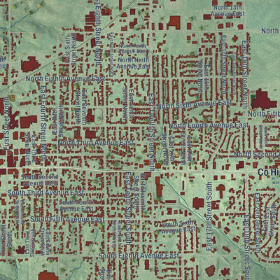 Close-up of the map of Newton, Iowa print showing street and building detail