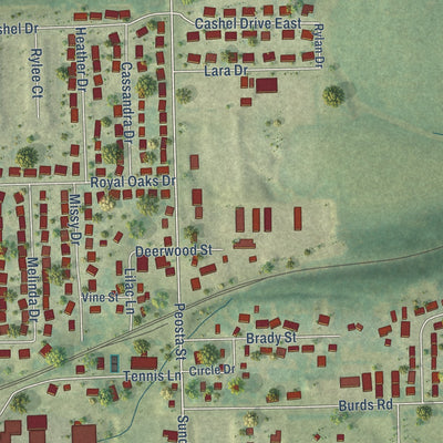 Close-up of the map of Peosta, Iowa print showing street and building detail