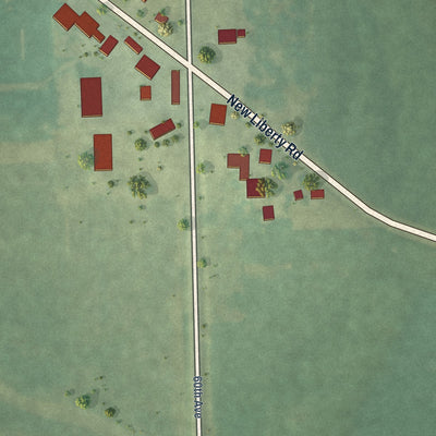 Close-up of the map of Plainview, Iowa print showing street and building detail