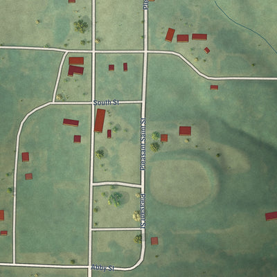 Close-up of the map of Pleasanton, Iowa print showing street and building detail