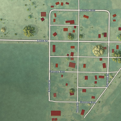Close-up of the map of Rinard, Iowa print showing street and building detail