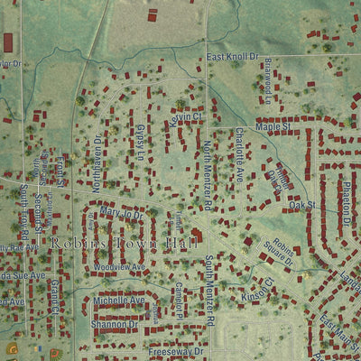 Close-up of the map of Robins, Iowa print showing street and building detail
