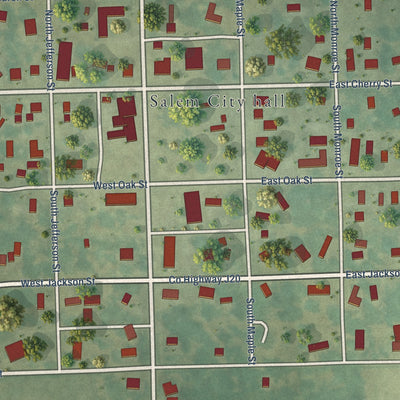 Close-up of the map of Salem, Iowa print showing street and building detail