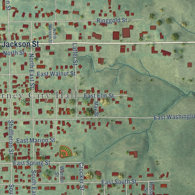 Close-up of the map of Sigourney, Iowa print showing street and building detail