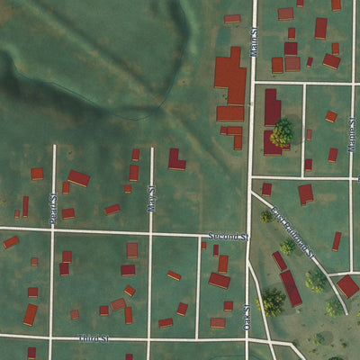 Close-up of the map of Silver City, Iowa print showing street and building detail