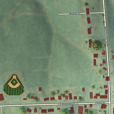 Close-up of the map of Springbrook, Iowa print showing street and building detail