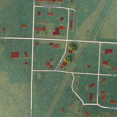 Close-up of the map of Struble, Iowa print showing street and building detail