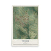 Map of Swisher, Iowa, 12 x 18 inch unframed archival matte print