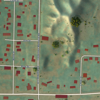 Close-up of the map of Turin, Iowa print showing street and building detail