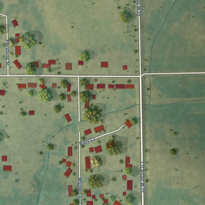 Second close-up of the map of Walker, Iowa print showing more streets and buildings