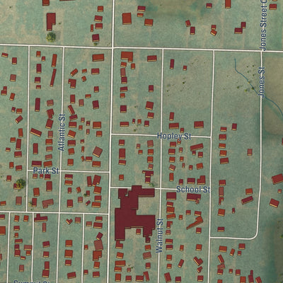 Close-up of the map of Walnut, Iowa print showing street and building detail
