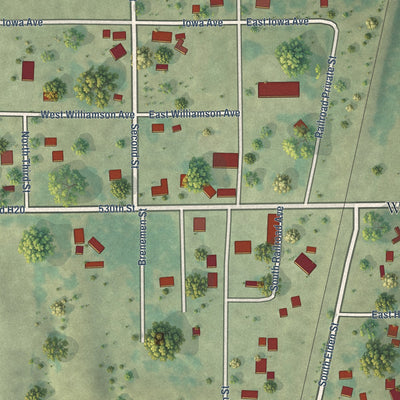 Close-up of the map of Williamson, Iowa print showing street and building detail