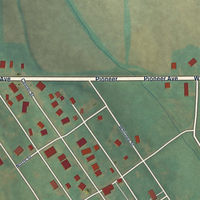 Close-up of the map of Wiota, Iowa print showing street and building detail