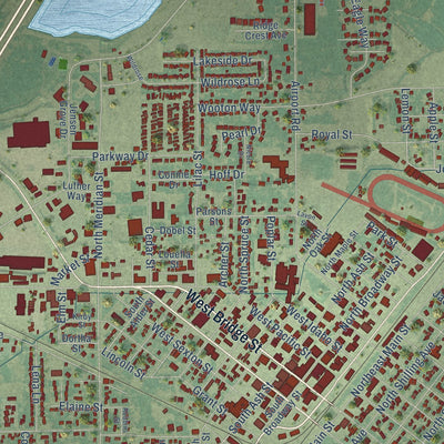 Close-up of the map of Blackfoot, Idaho print showing street and building detail
