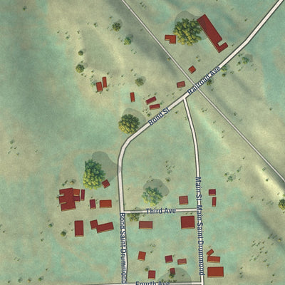 Close-up of the map of Drummond, Idaho print showing street and building detail