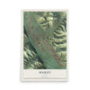 Map of Hailey, Idaho, 12 x 18 inch unframed archival matte print