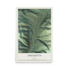 Map of Juliaetta, Idaho, 12 x 18 inch unframed archival matte print