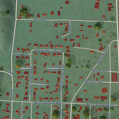 Close-up of the map of Lapwai, Idaho print showing street and building detail