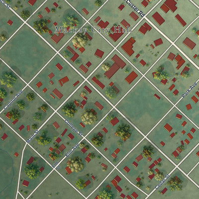 Close-up of the map of Mackay, Idaho print showing street and building detail