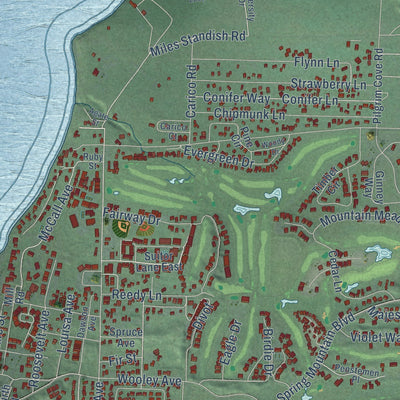 Close-up of the map of McCall, Idaho print showing street and building detail