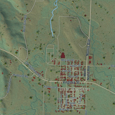 Close-up of the map of Meadows, Idaho print showing street and building detail