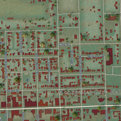 Close-up of the map of Montpelier, Idaho print showing street and building detail