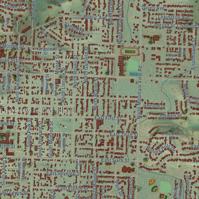 Close-up of the map of Moscow, Idaho print showing street and building detail