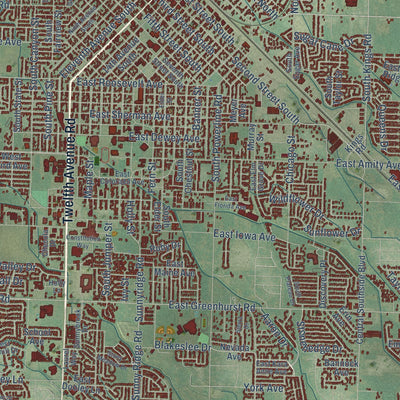 Close-up of the map of Nampa, Idaho print showing street and building detail
