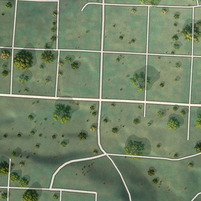 Second close-up of the map of Onaway, Idaho print showing more streets and buildings