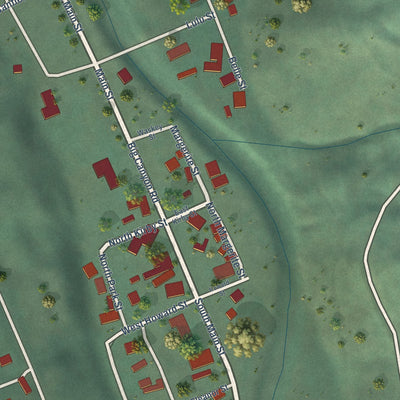 Close-up of the map of Peck, Idaho print showing street and building detail