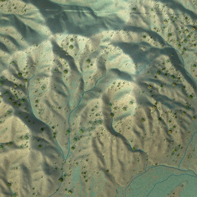 Close-up of the map of Prairie, Idaho print showing street and building detail