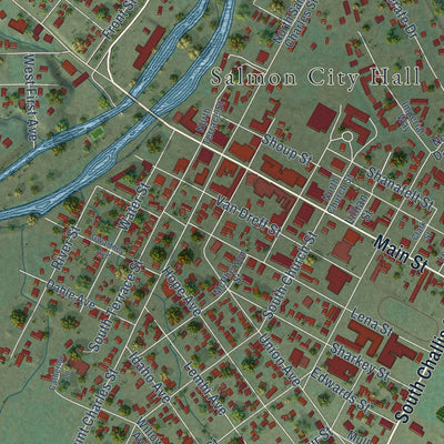 Close-up of the map of Salmon, Idaho print showing street and building detail