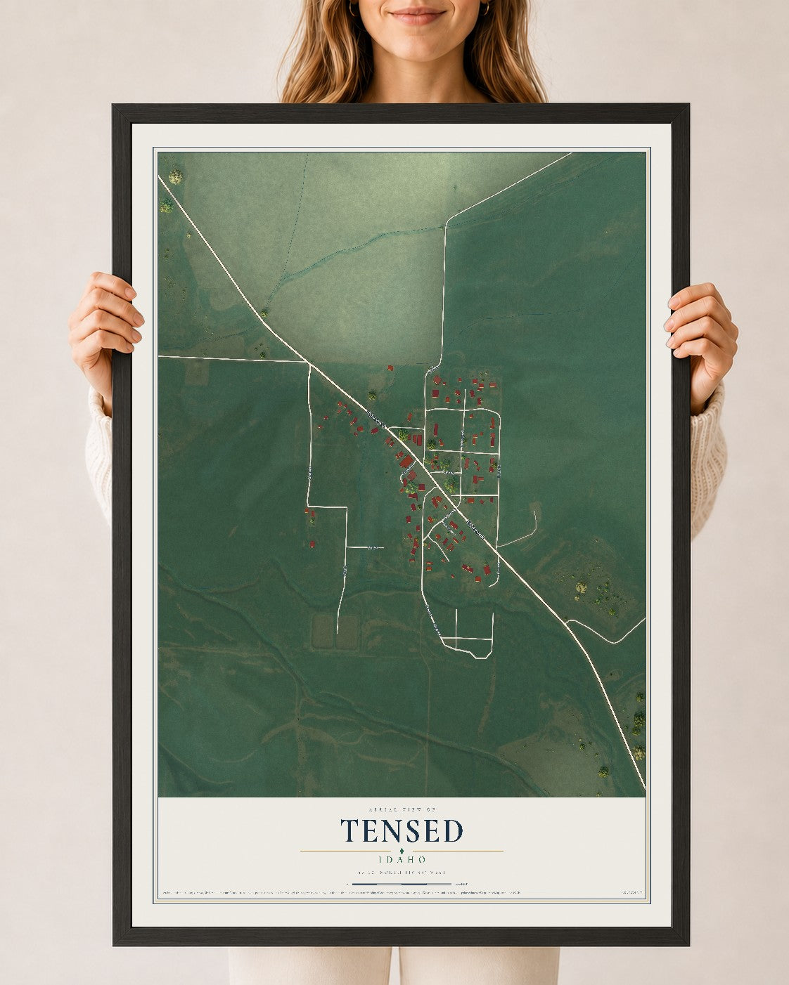 Map of Tensed, Idaho, 24 x 36 inch print in a black wood frame