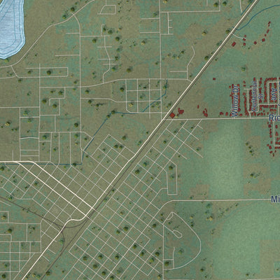 Close-up of the map of Wapello, Idaho print showing street and building detail