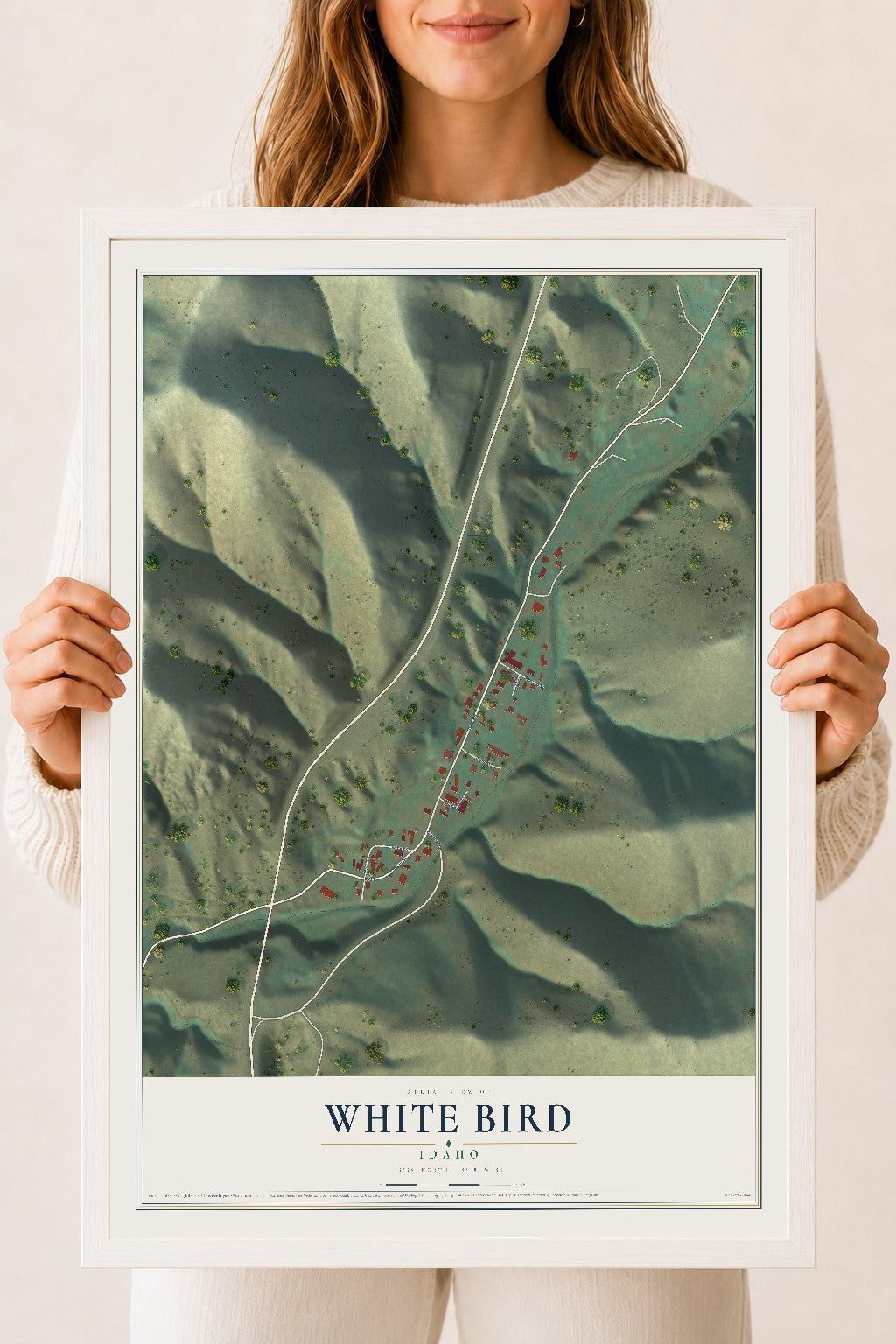 Map of White Bird, Idaho, 18 x 24 inch print in a white wood frame