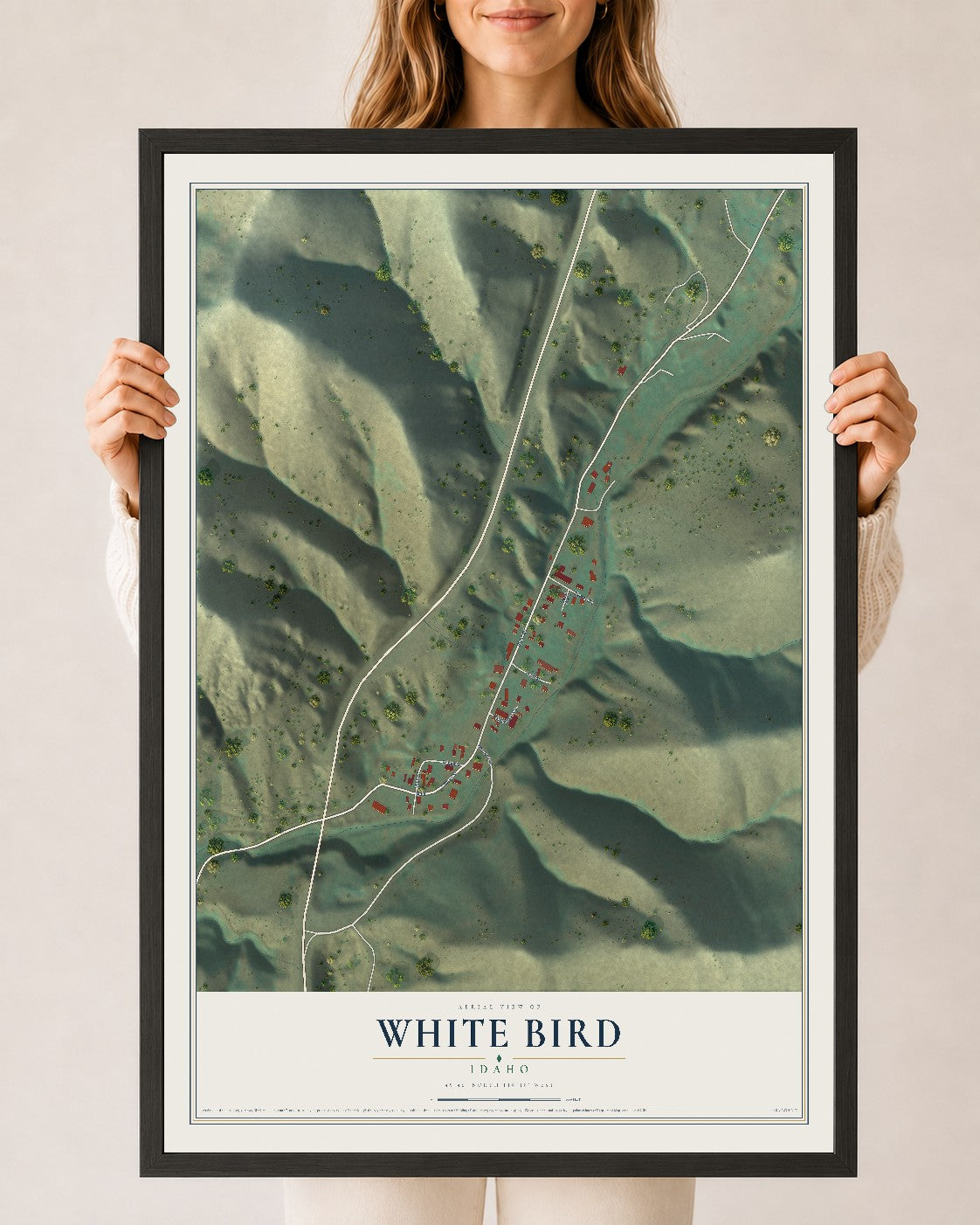 Map of White Bird, Idaho, 24 x 36 inch print in a black wood frame