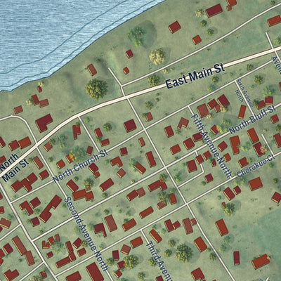 Close-up of the map of Albany, Illinois print showing street and building detail
