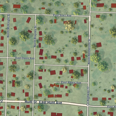 Second close-up of the map of Alexis, Illinois print showing more streets and buildings