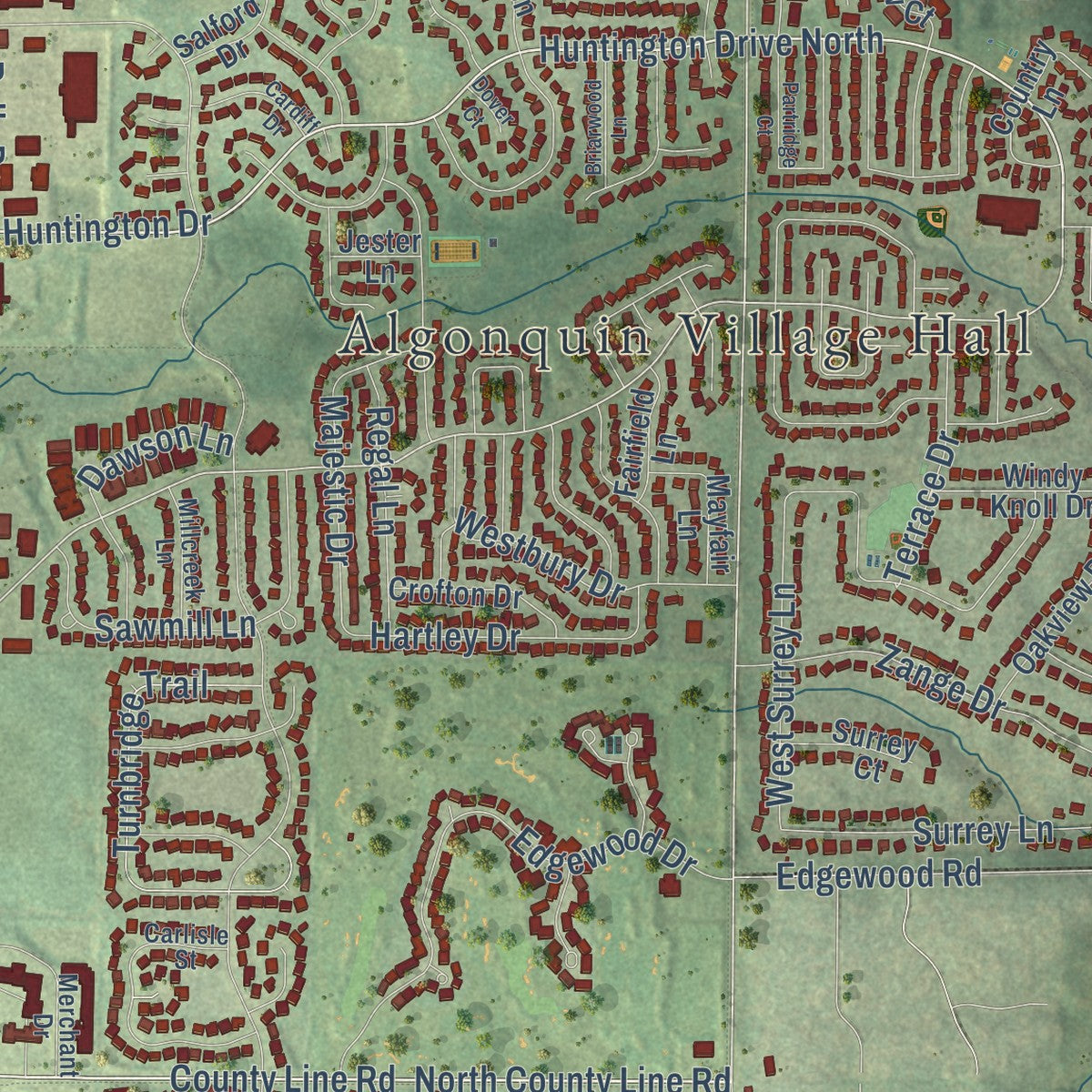 Close-up of the map of Algonquin, Illinois print showing street and building detail