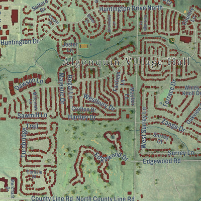 Close-up of the map of Algonquin, Illinois print showing street and building detail