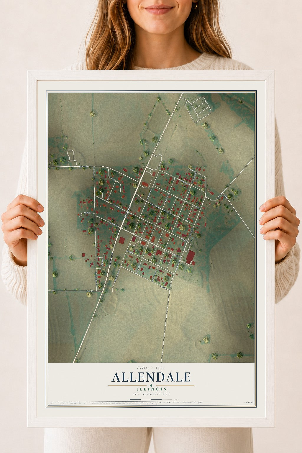 Map of Allendale, Illinois, 18 x 24 inch print in a white wood frame